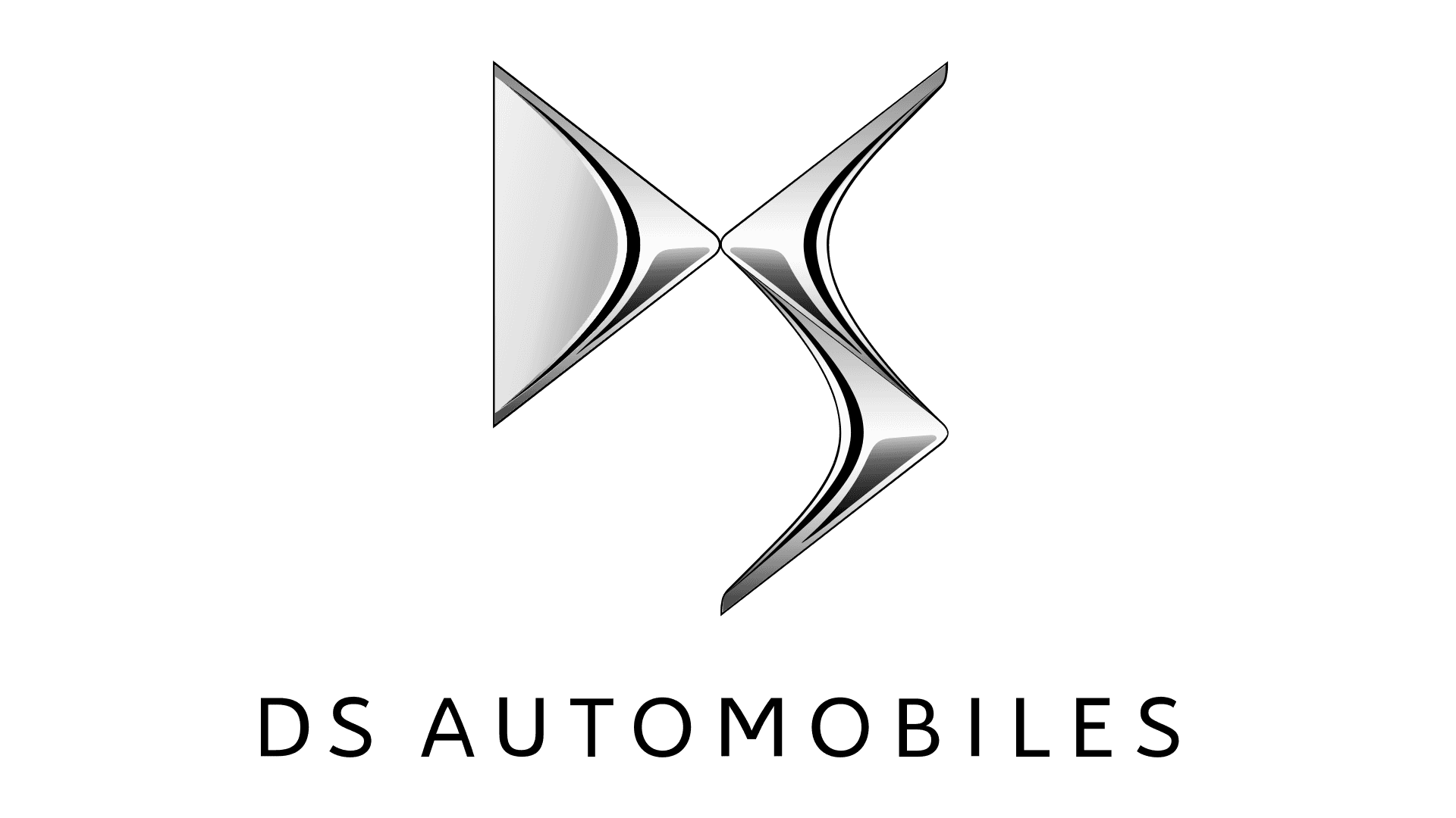 Логотип DS