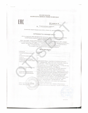 ОТТС ТС KZ E-KZ.0317.00243.P1 — превью документа