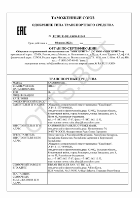 ОТТС ТС RU E-DE.АЖ04.01045 — превью документа