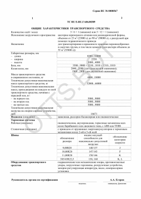 ОТТС ТС RU E-RU.ГА06.00389 — превью документа